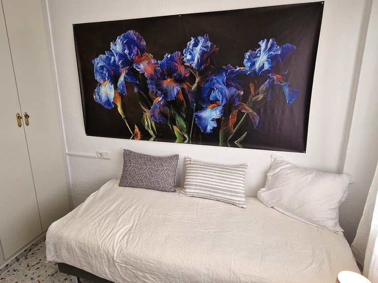 Apartment for Sale in Costa Blanca Torrevieja, Alicante 24