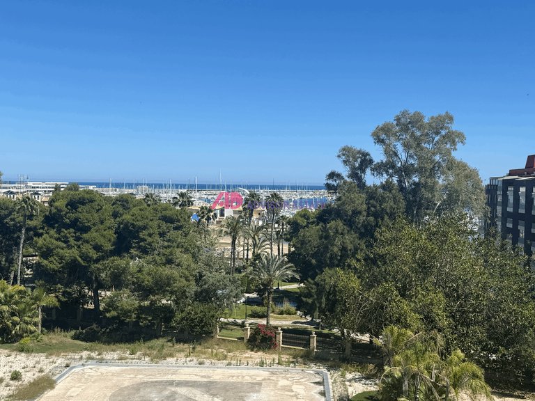 Apartment for Sale in Torrevieja, Alicante 2