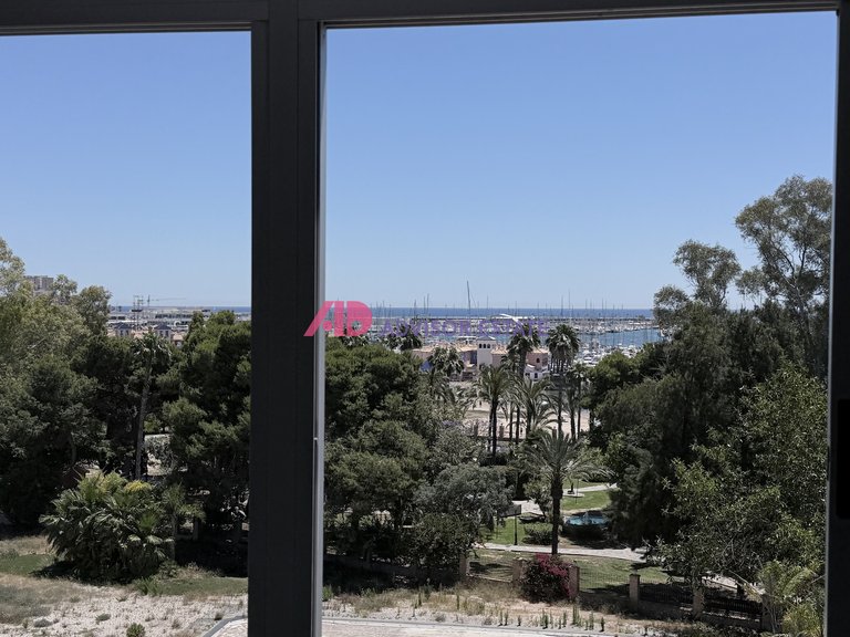 Apartment for Sale in Torrevieja, Alicante 3