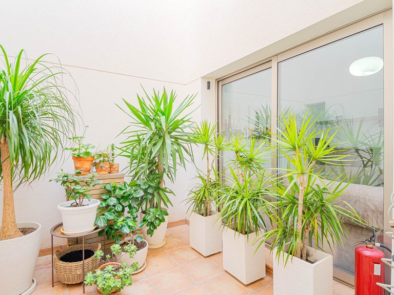 Town House for Sale in Punta Prima, Alicante 18