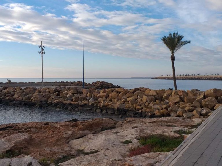 Apartment for Sale in Torrevieja, Alicante, 5