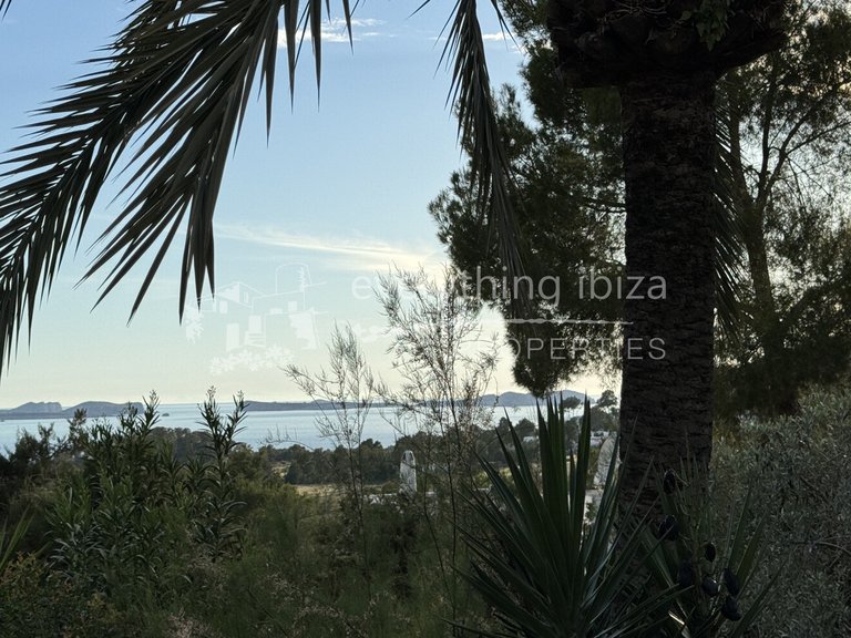 Villa for Sale in Cala Salada, Ibiza 5