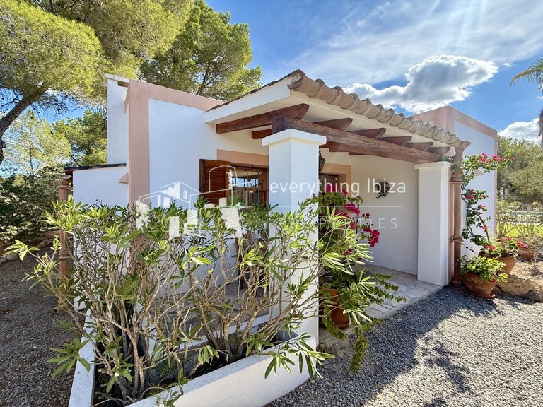 Villa for Sale in Port Des Torrent, Ibiza 10