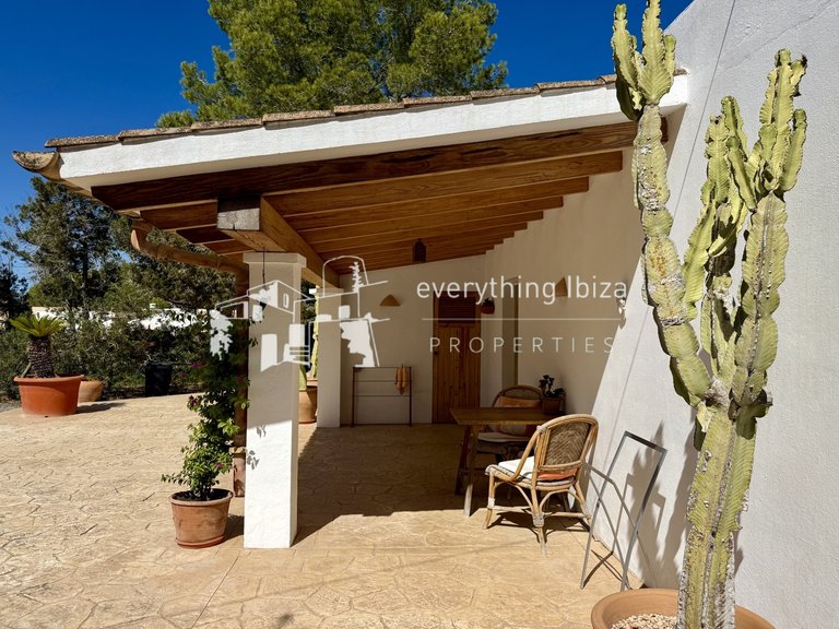 Villa for Sale in Port Des Torrent, Ibiza 47