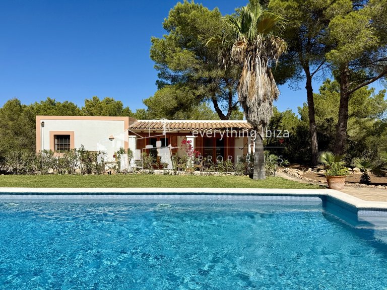 Villa for Sale in Port Des Torrent, Ibiza 6