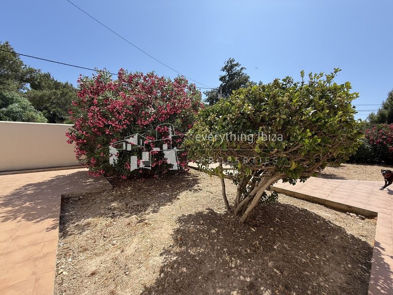 Villa for Sale in San Agusti De Vedra, Ibiza 21