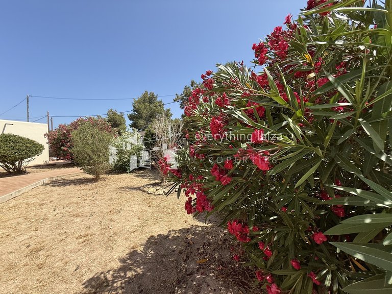 Villa for Sale in San Agusti De Vedra, Ibiza 26