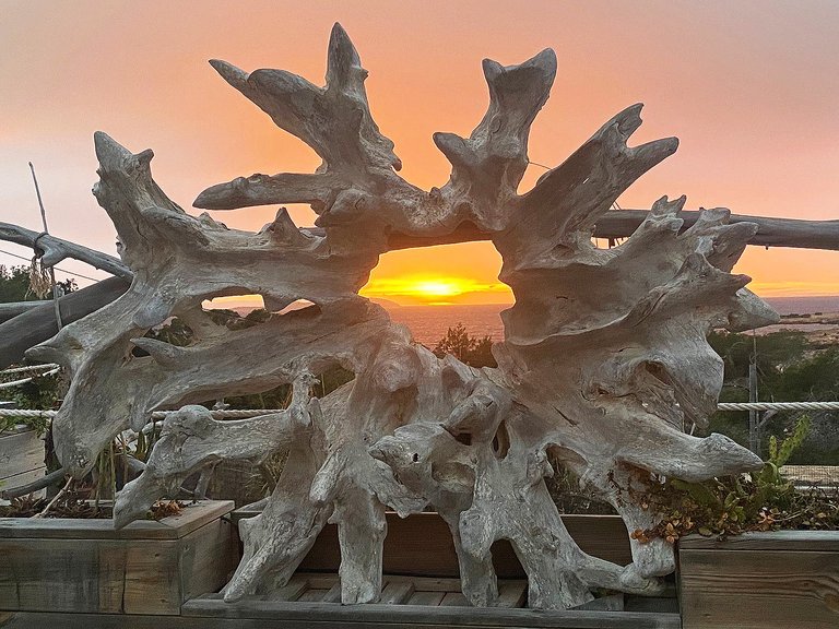 Villa for Sale in Cala Gracio, Ibiza 34