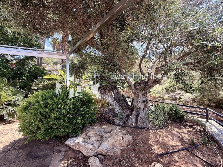 Town House for Sale in Cala Tarida, Ibiza 12