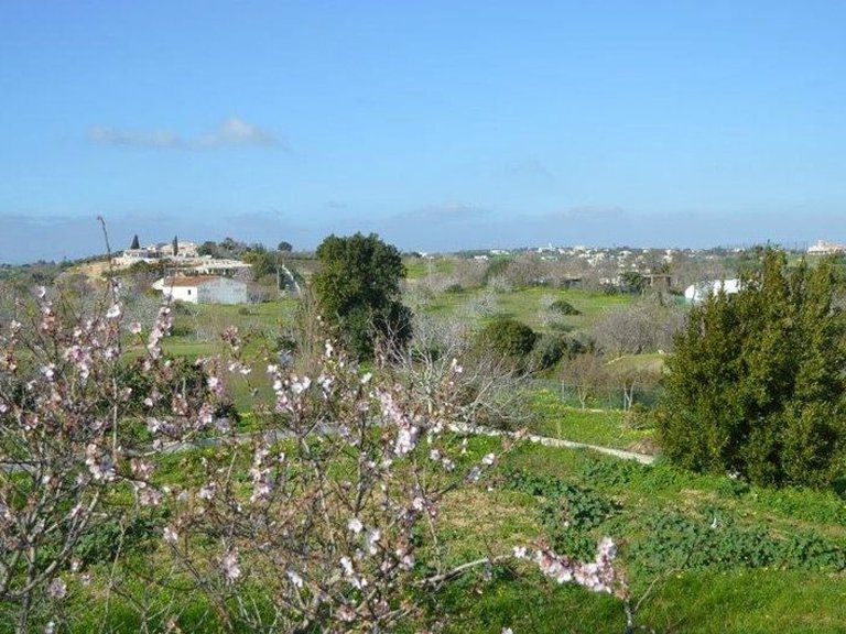 Plot for Sale in Lagos, Algarve 28