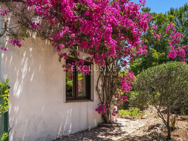 Villa for Sale in Alvor, Algarve 26