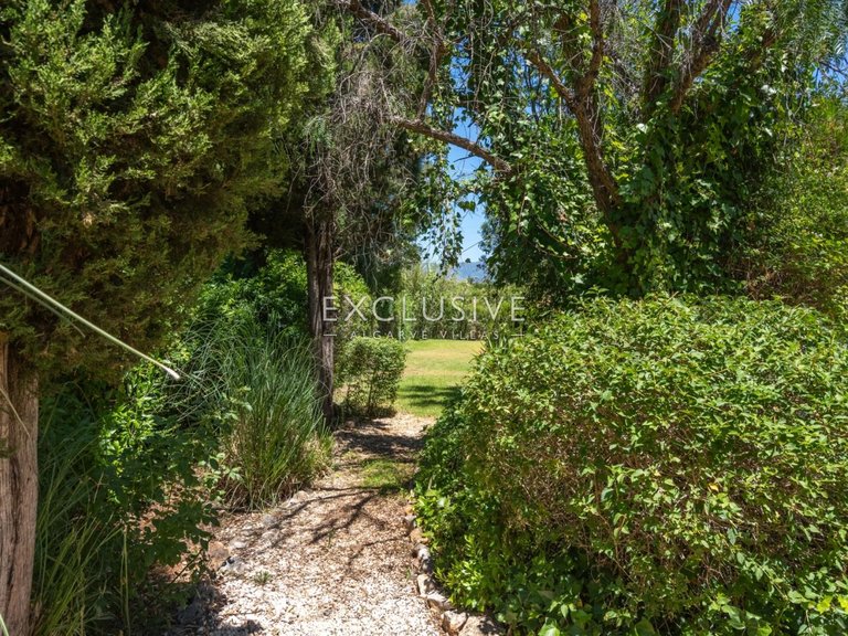 Villa for Sale in Alvor, Algarve 22