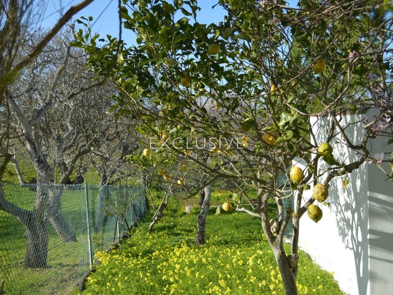 Plot for Sale in Lagos, Algarve 18