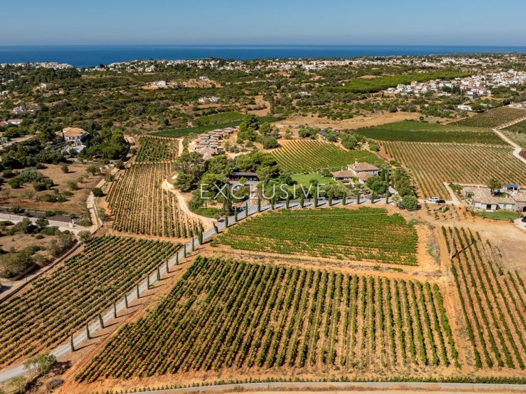 Villa for Sale in Carvoeiro, Algarve 4