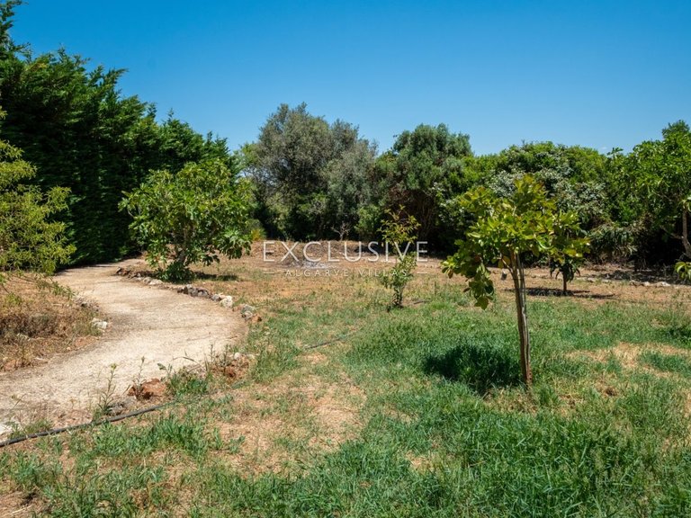 Villa for Sale in Carvoeiro, Algarve 33