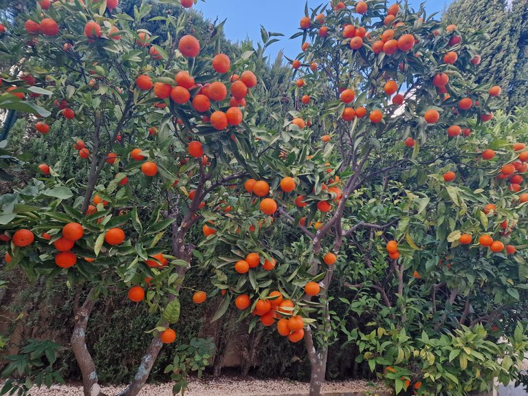 Villa for Sale in  Benitachell / El Poble Nou De Benitatxell, Alicante 8