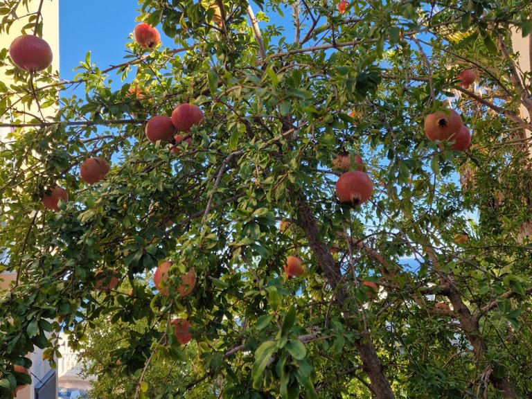 Villa for Sale in  Benitachell / El Poble Nou De Benitatxell, Alicante 9