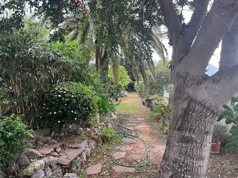 Villa for Sale in Costa Blanca Javea, Alicante 33