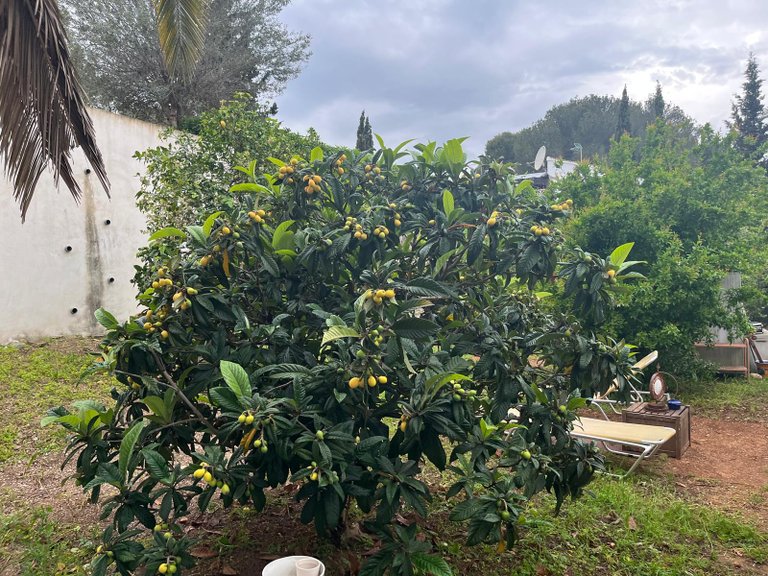 Villa for Sale in Costa Blanca Javea, Alicante 34