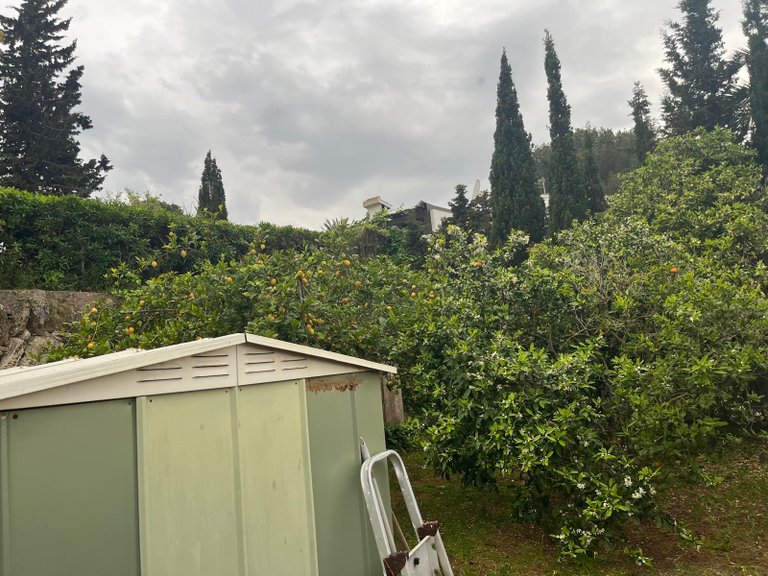 Villa for Sale in Costa Blanca Javea, Alicante 35