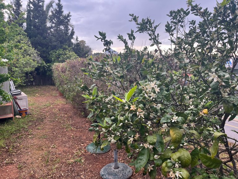 Villa for Sale in Costa Blanca Javea, Alicante 36