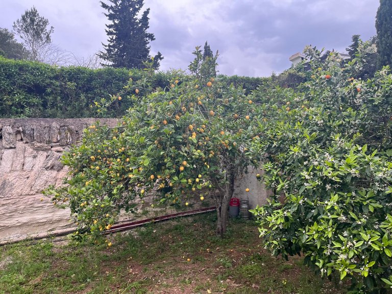 Villa for Sale in Costa Blanca Javea, Alicante 37