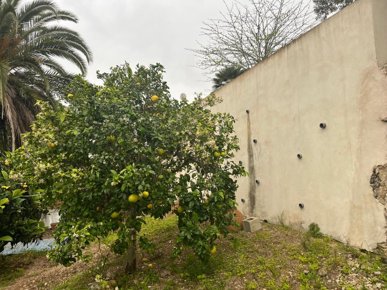 Villa for Sale in Costa Blanca Javea, Alicante 39