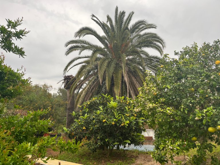 Villa for Sale in Costa Blanca Javea, Alicante 42