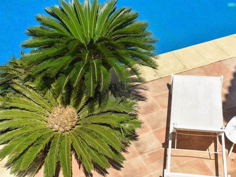 Villa for Sale in Costa Blanca Javea, Alicante 32