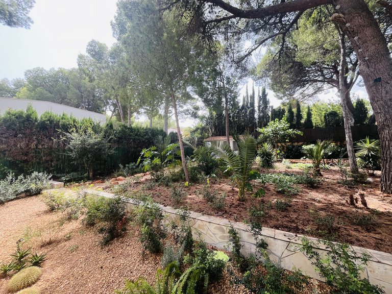 Villa for Sale in Costa Blanca Denia, Alicante 49