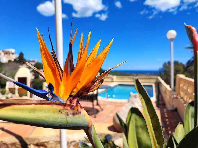 Villa for Sale in  Benitachell / El Poble Nou De Benitatxell, Alicante 24