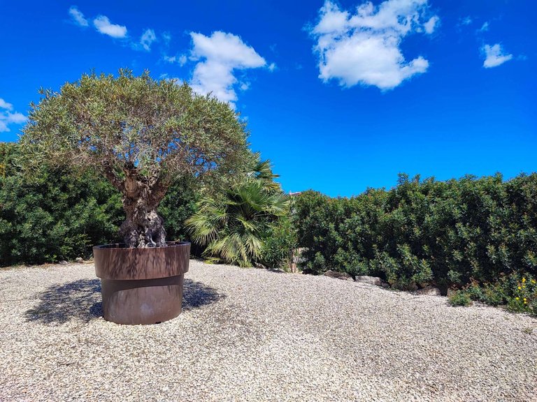 Villa for Sale in  Benitachell / El Poble Nou De Benitatxell, Alicante 44