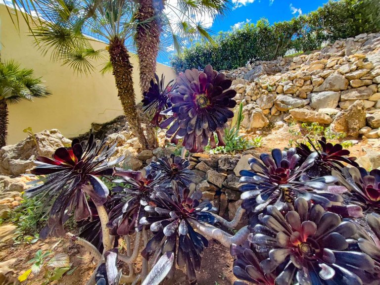 Villa for Sale in  Benitachell / El Poble Nou De Benitatxell, Alicante 48