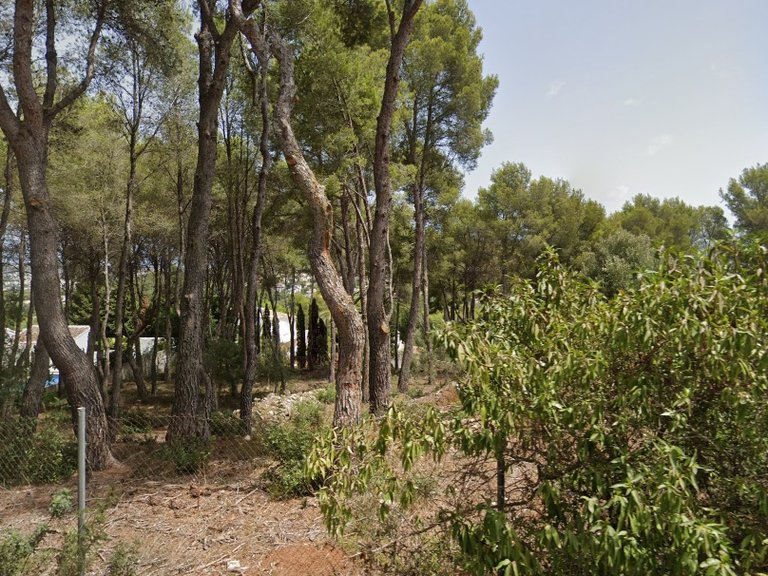 Plot for Sale in Costa Blanca Javea, Alicante 3