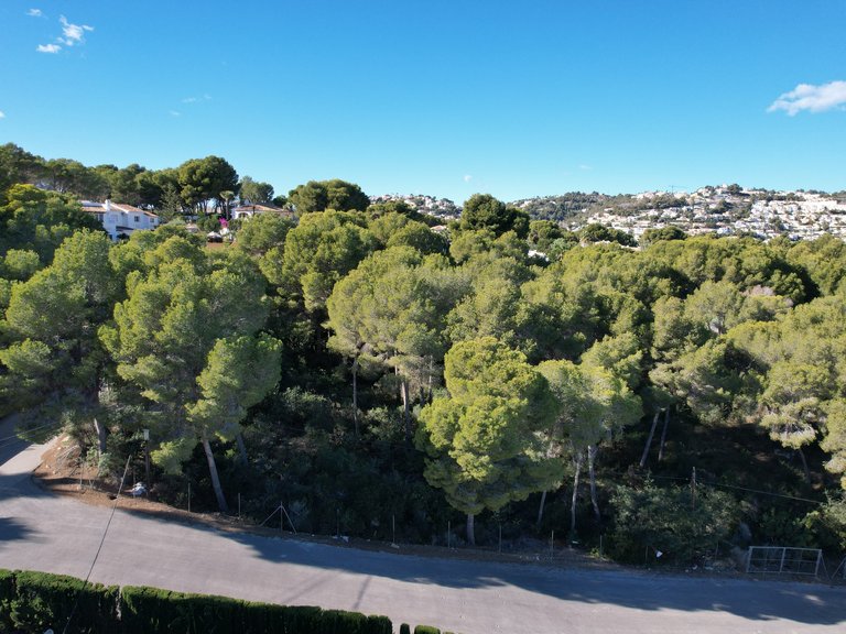 Plot for Sale in Costa Blanca Moraira, Alicante 5
