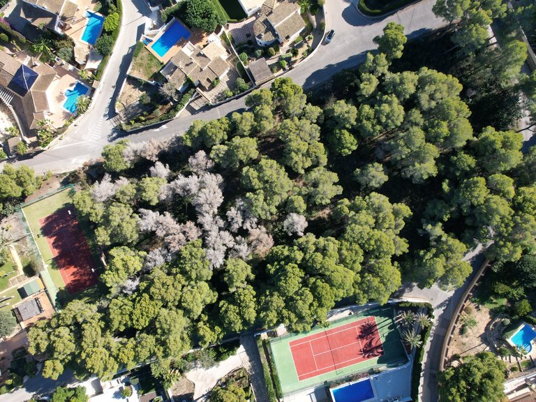 Plot for Sale in Costa Blanca Moraira, Alicante 6