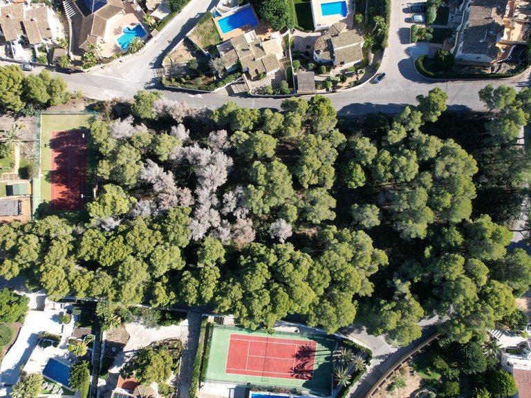 Plot for Sale in Costa Blanca Moraira, Alicante 4