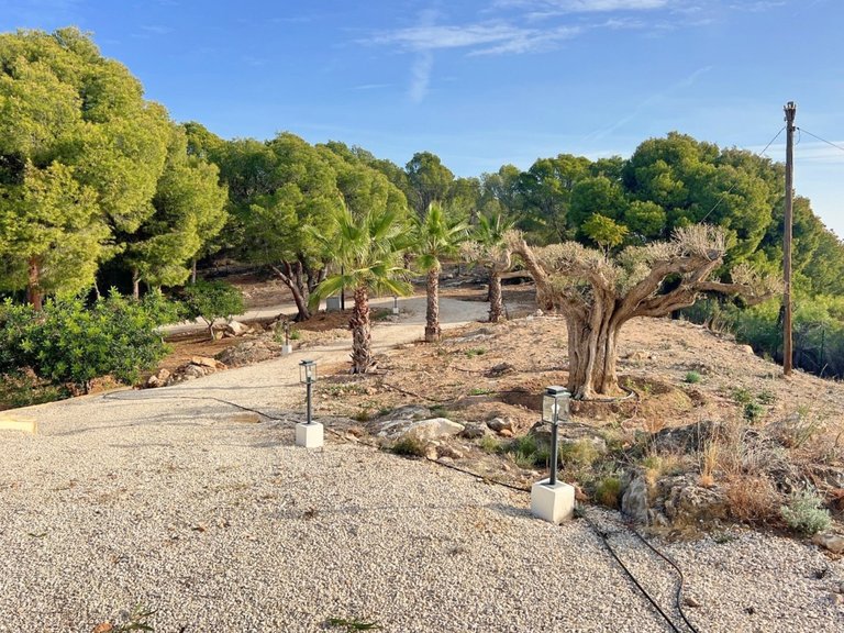 Villa for Sale in Costa Blanca Altea, Alicante 26