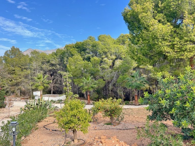 Villa for Sale in Costa Blanca Altea, Alicante 27