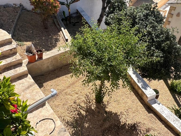 Villa for Sale in Costa Blanca Moraira, Alicante 19