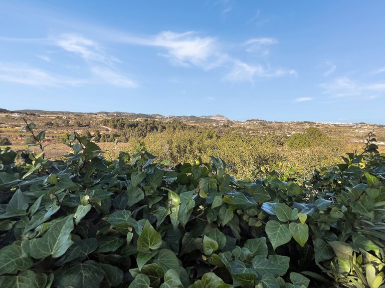 Villa for Sale in Costa Blanca Moraira, Alicante 20