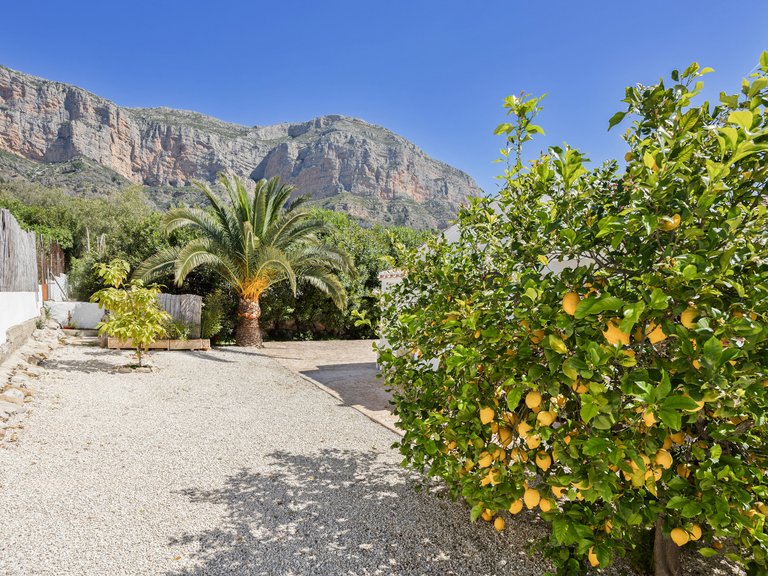 Villa for Sale in Costa Blanca Javea, Alicante 39