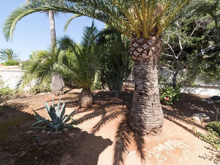 Villa for Sale in Costa Blanca Moraira, Alicante 22