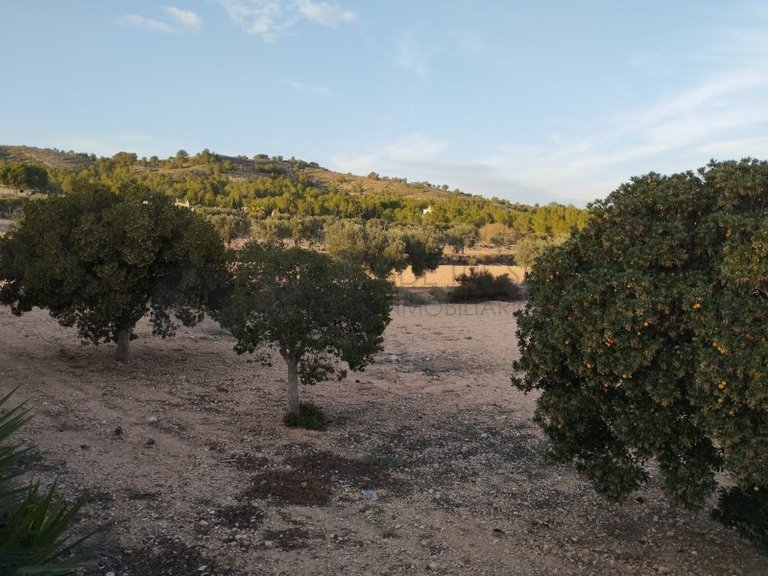 Villa for Sale in Sax, Alicante 50