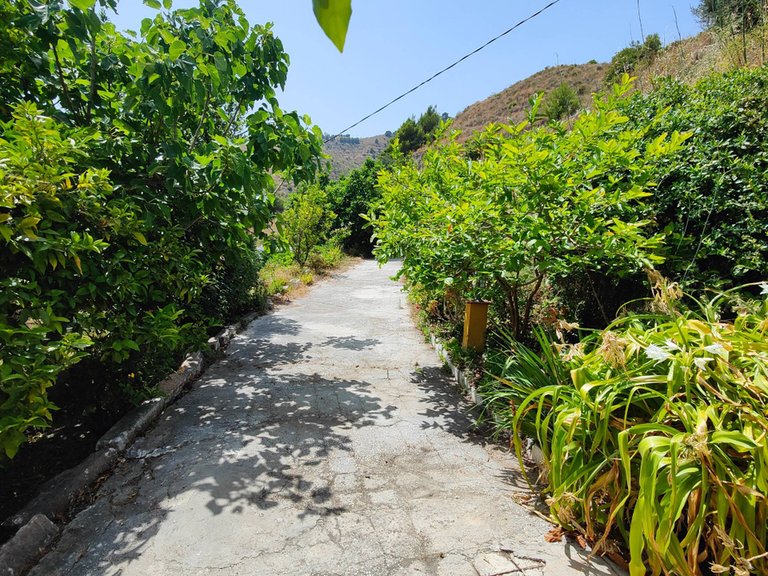 Villa for Sale in Río la miel, Nerja, Malaga 4