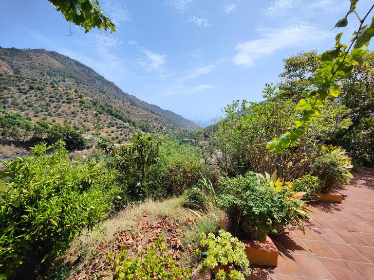 Villa for Sale in Río la miel, Nerja, Malaga 7