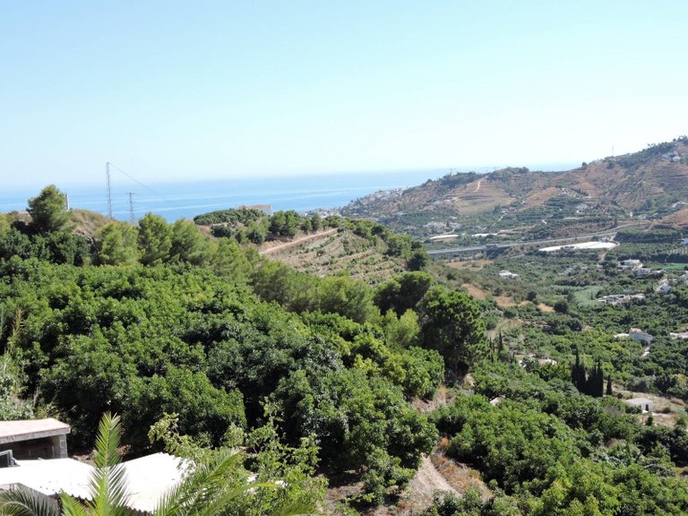 Villa for Rent in Costa del sol, Frigiliana, Malaga 7