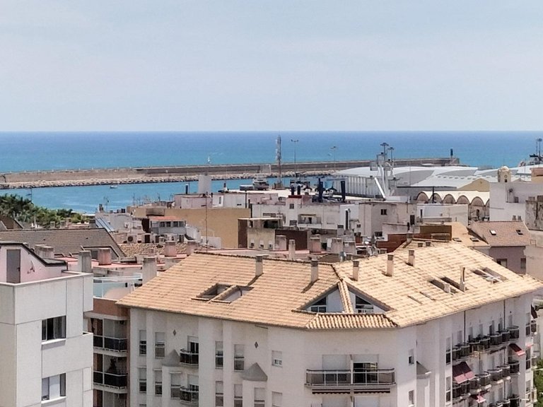Apartment for Rent in Gandia, Valencia 8