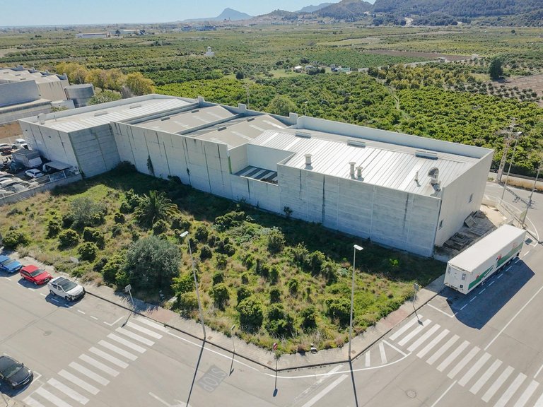 Plot for Sale in Alqueria De La Condesa, Valencia 1