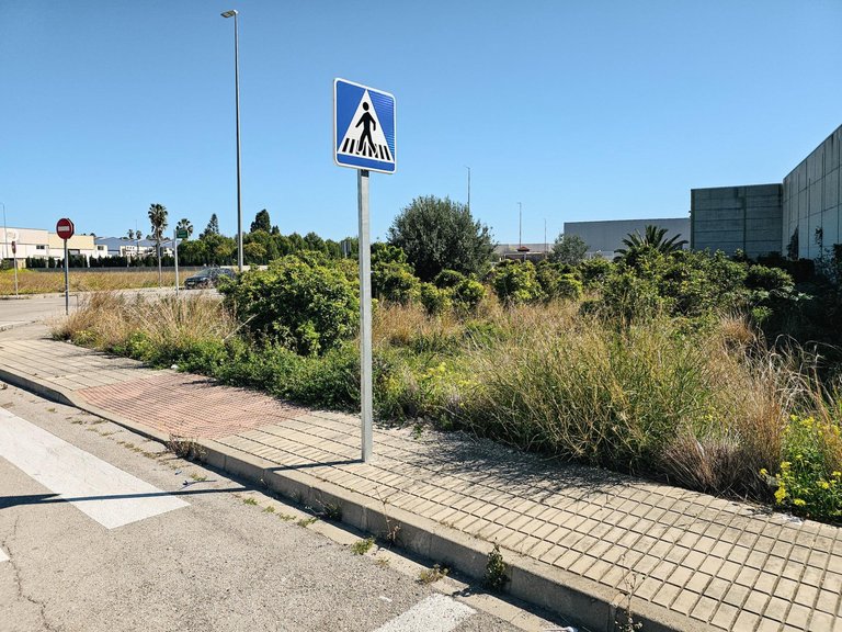 Plot for Sale in Alqueria De La Condesa, Valencia 10